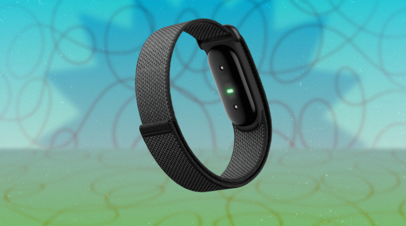 You Can Get  in Google Store Credit If You Preorder the Fitbit Air