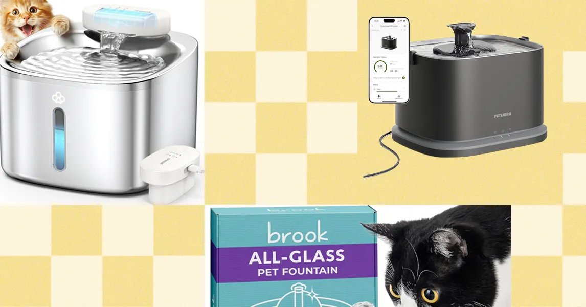 The Best Cat Water Fountains of 2026: Petlibro, Petkit, Oneisall The Best Cat Water Fountains of 2026: Petlibro, Petkit, Oneisall