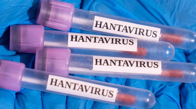 Why the Hantavirus Cruise Ship Outbreak Isn’t Likely to Become a Global Crisis