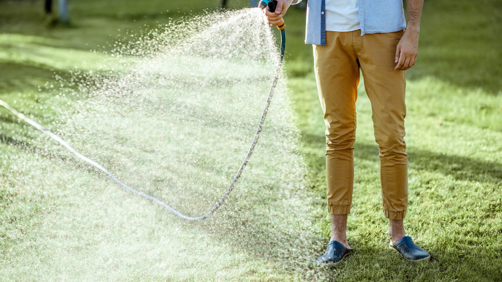Gardening experts reveal why you should stop watering your lawn every day this summer Gardening experts reveal why you should stop watering your lawn every day this summer