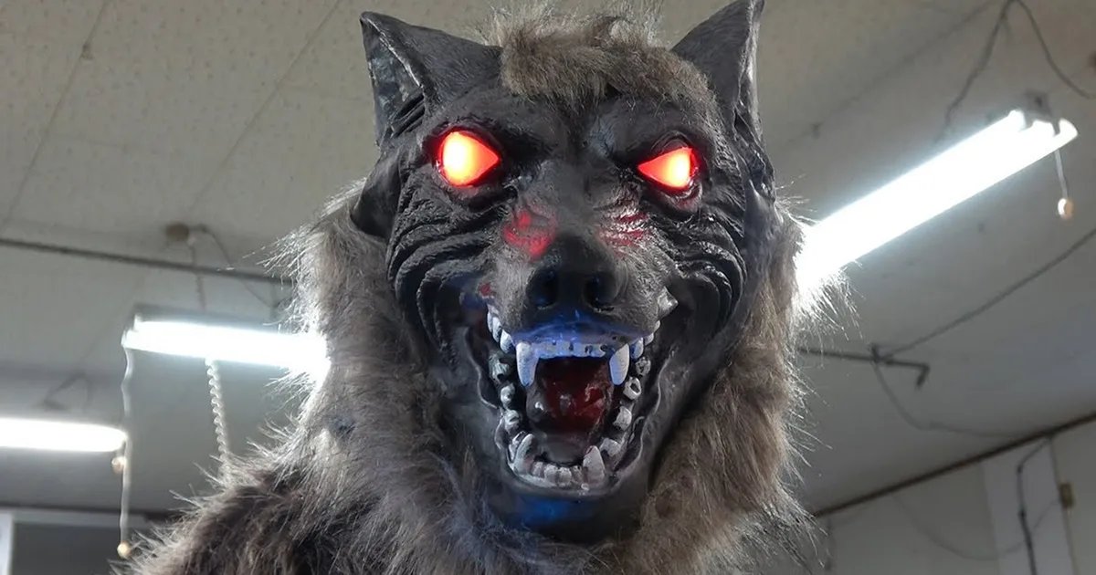 Japan built robot wolves to thwart bear attack, and they’re flying off the shelves Japan built robot wolves to thwart bear attack, and they’re flying off the shelves