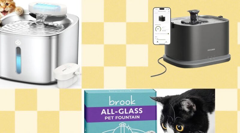 The Best Cat Water Fountains of 2026: Petlibro, Petkit, Oneisall