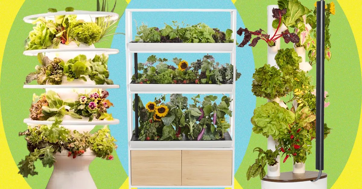 Best Indoor Garden Systems: I’ve Been Testing All Year (2026)