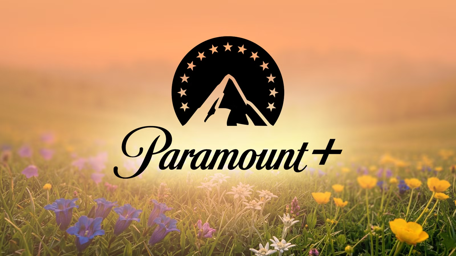 4 spot-on Paramount+ movies to watch this week (May 11