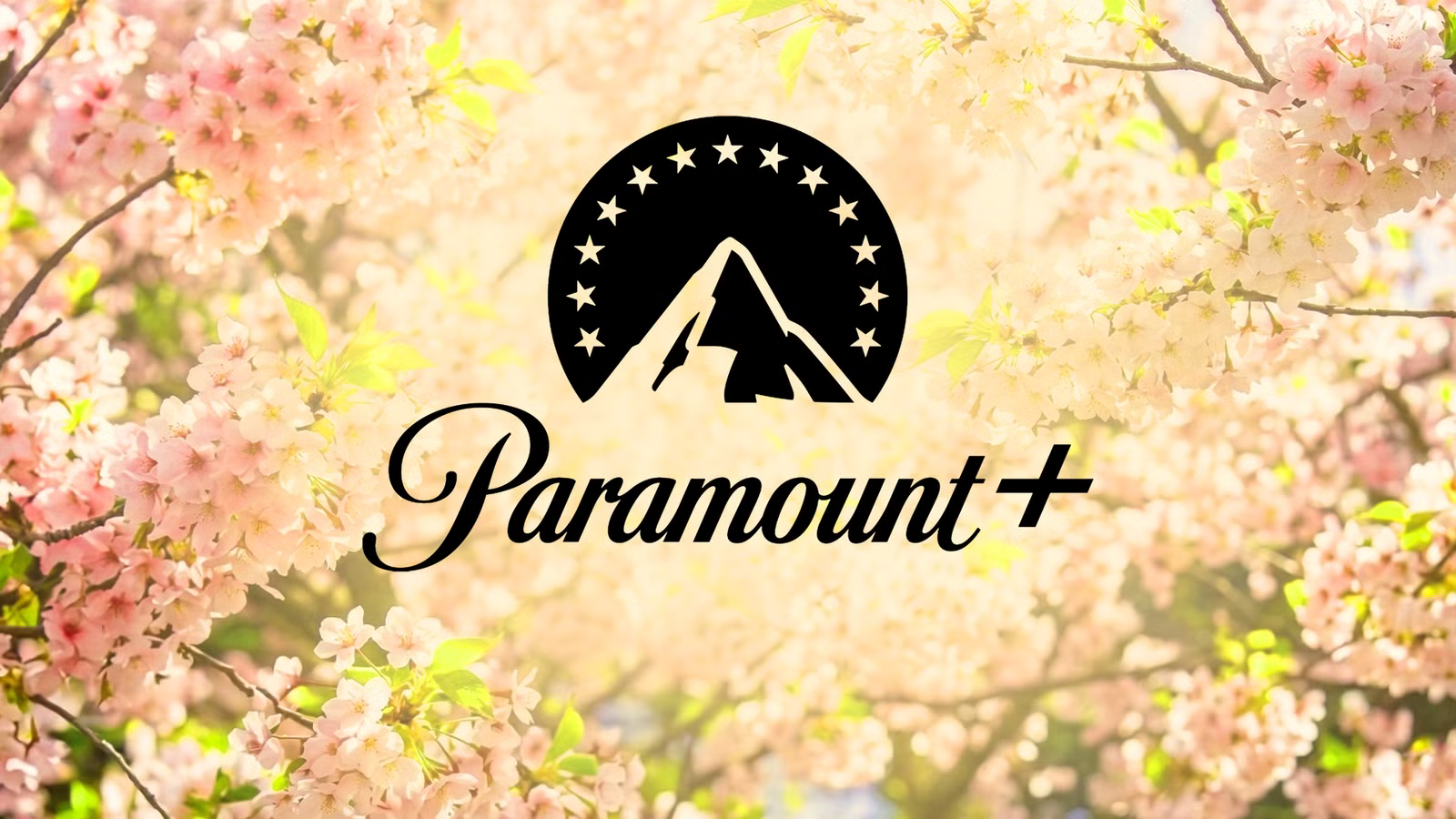 3 Paramount+ shows you can finish in a weekend (May 8-10)