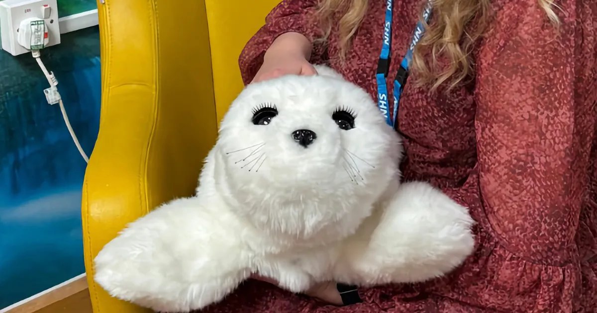 Fluffy robot seals are being used for mental health care at a UK hospital Fluffy robot seals are being used for mental health care at a UK hospital
