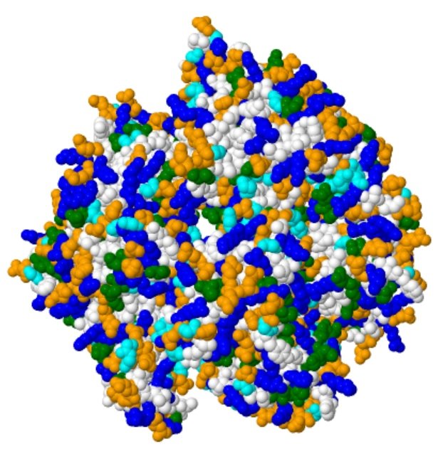 Proteins: A Mosaic Pattern to Rule Them All? Proteins: A Mosaic Pattern to Rule Them All?