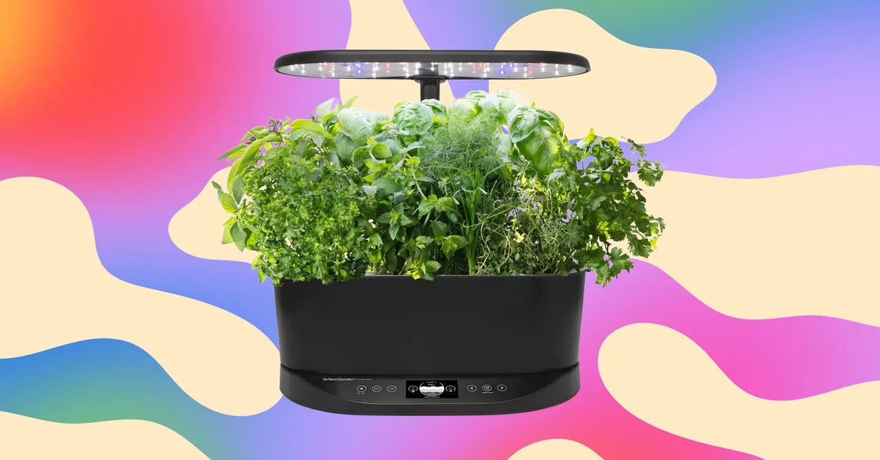 The Aerogarden I Recommend to Everyone Is Just  Right Now, a 63 Percent Discount