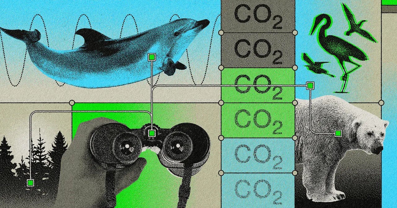 How a Citizen Science Organization Aims to Preserve the Places It Brings Tourists to Study How a Citizen Science Organization Aims to Preserve the Places It Brings Tourists to Study