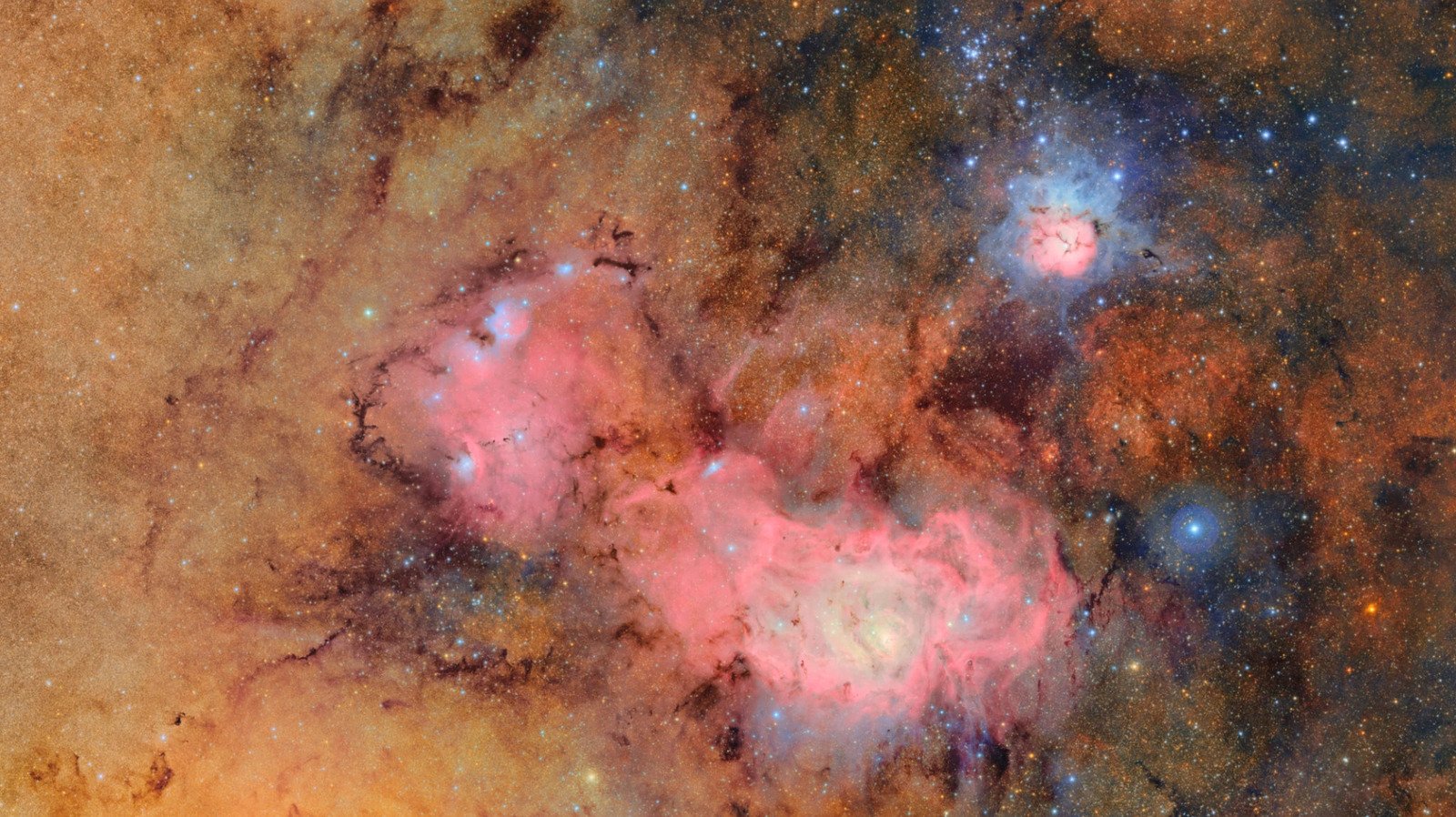 A 10-Year Sky Survey Begins Filming A ‘Cosmic Movie,’ Cyborg Cockroaches Go For A Dive And More Science Stories A 10-Year Sky Survey Begins Filming A ‘Cosmic Movie,’ Cyborg Cockroaches Go For A Dive And More Science Stories